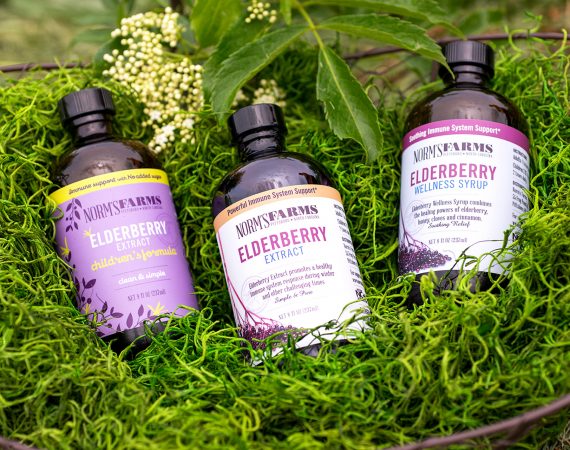 Collection of Norm's Farm elderberry products on a grassy background